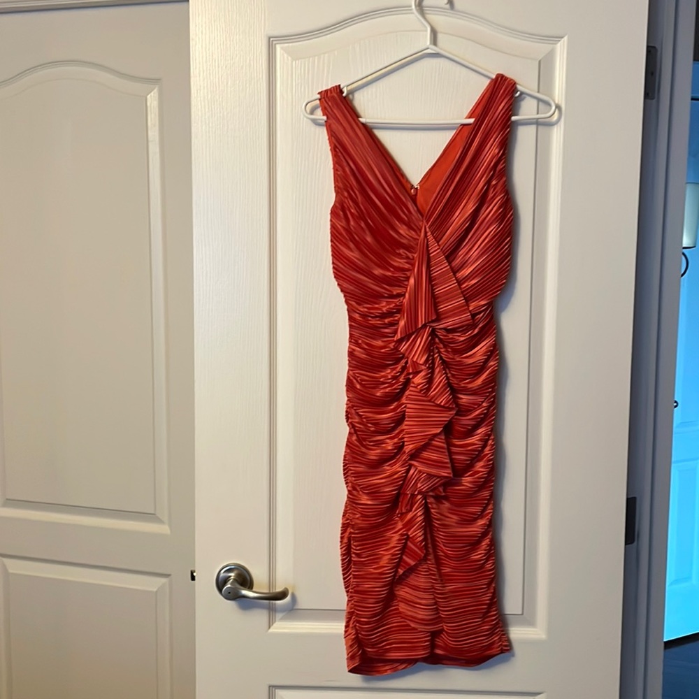 Gorgeous Suzi Chin dress